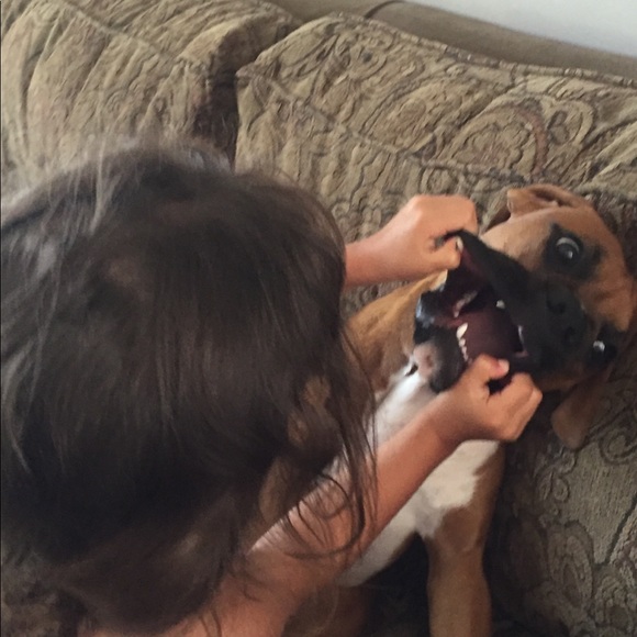 Meet your Posher, Nikkie - Picture 5 of 7